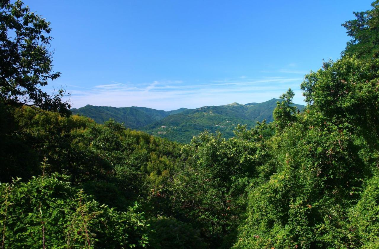 Hotel Podere Conti Filattiera Екстериор снимка