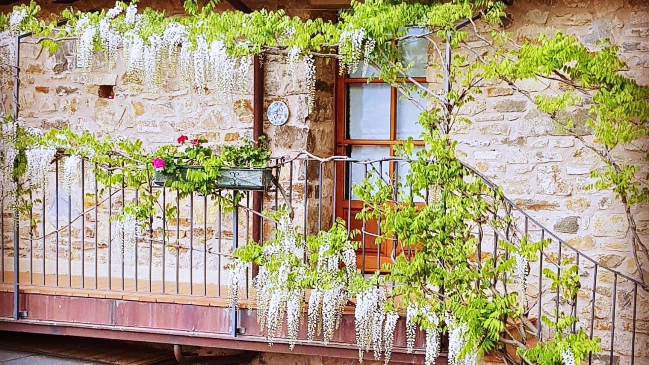 Hotel Podere Conti Filattiera Екстериор снимка